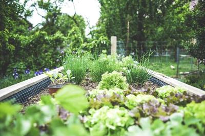 How To Make Your Small Garden Feel More Spacious