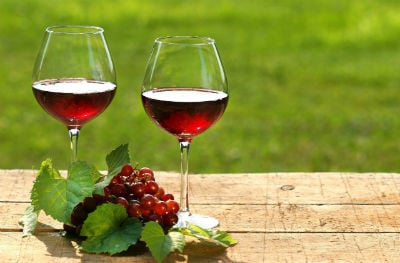 The Annual USD Wine Classic