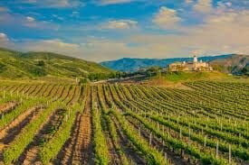 Things to Do For St. Patrick’s Day