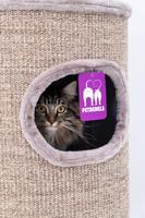 How a scratching barrel can help reduce your cat's stress