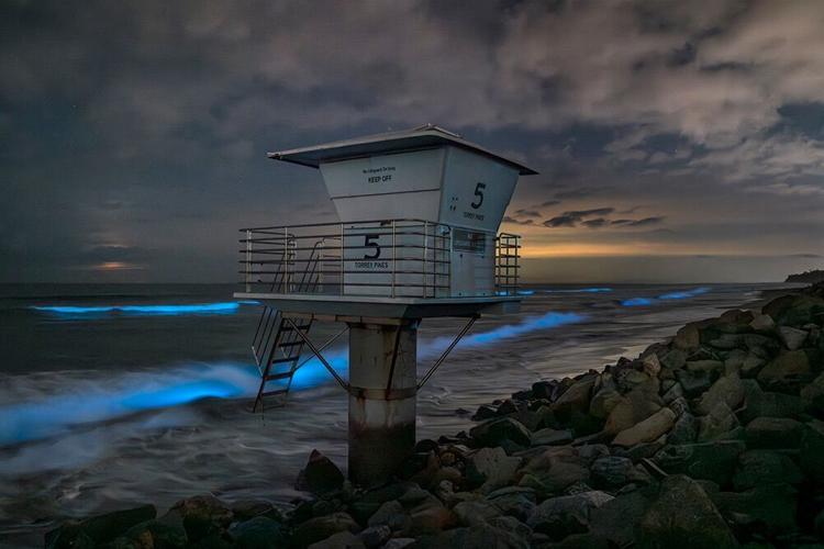 Solana Beach's aaron chang