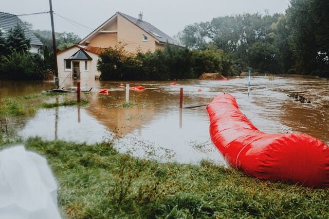 Choosing the Right Water Mitigation Company: Key Considerations
