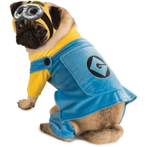 Top Pet Costumes