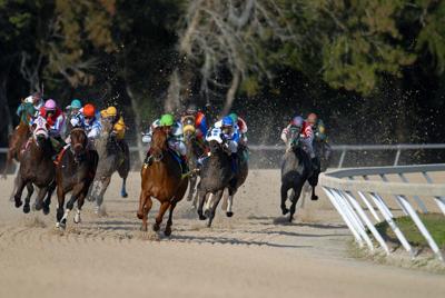 Essential Equipment You'll Need for Horse Racing