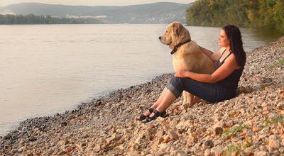 Taking Your Dog with You on Your Travels
