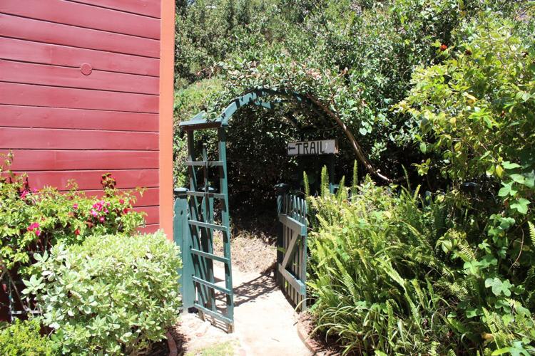 San Diego Beautiful Historic Parks