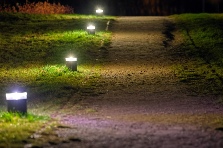 How I Use LED Lighting to Make My Yard Feel Designed, Not Decorated