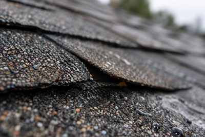 Do You Need A New Roof After Storm Damage? A Homeowner’s Guide To Repair, Renewal, Or Replacement