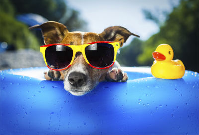 Your Guide to Beating the Heat