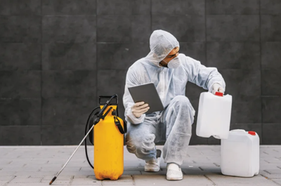 Why Preventive Pest Control Can Be Better Than Waiting for an Infestation