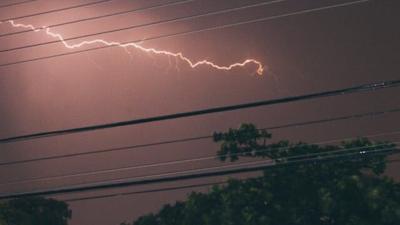Understanding and Implementing Lightning Protection Systems for Trees
