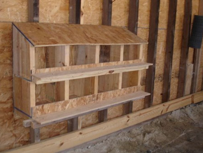 How Many Nesting Boxes Do You Really Need for Your Flock?