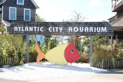 Discover Atlantic City’s Magic
