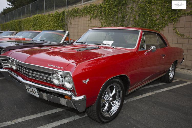 Photos by Shadi Ameri