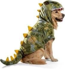 Top Pet Costumes