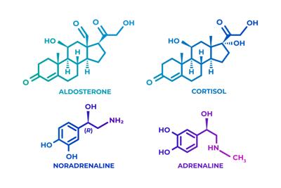 Azelaic Acid