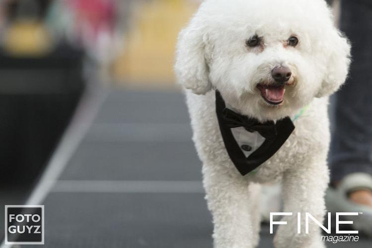 Photos by Will Grayson of Foto Guyz