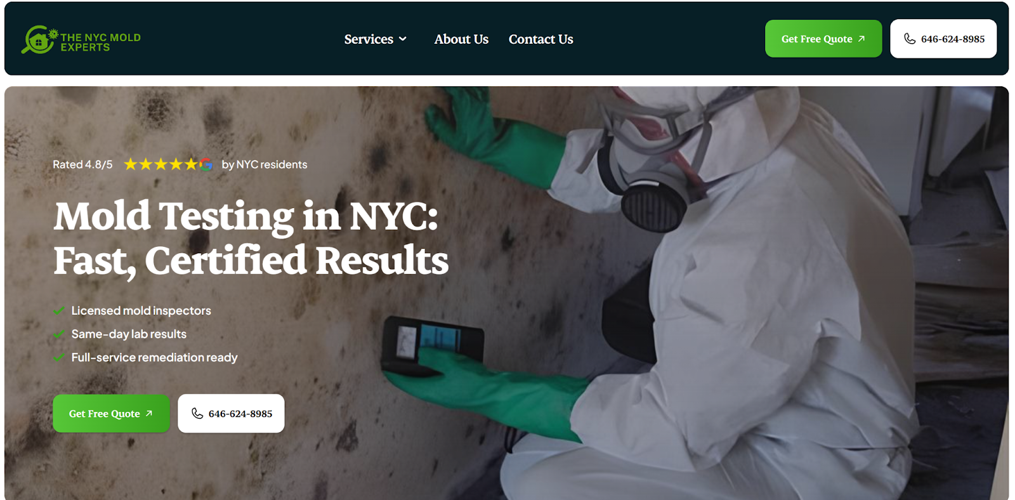What Is The Best Mold Inspection Company In NYC? 7 Best Reviewed