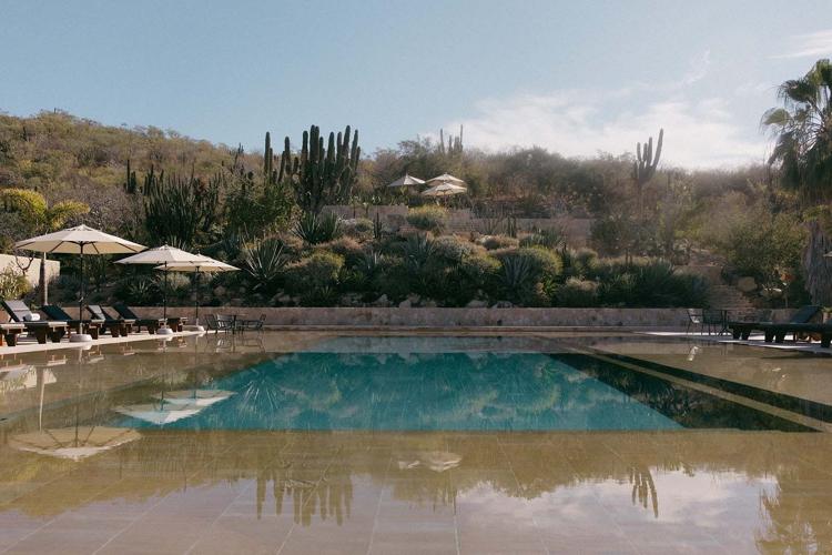 Acre Resort Los Cabos Unveils a New Kind of Wild Luxury