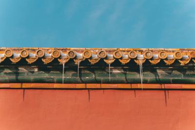 From Roof to Basement: How Blocked Gutters Spell Water Damage Below