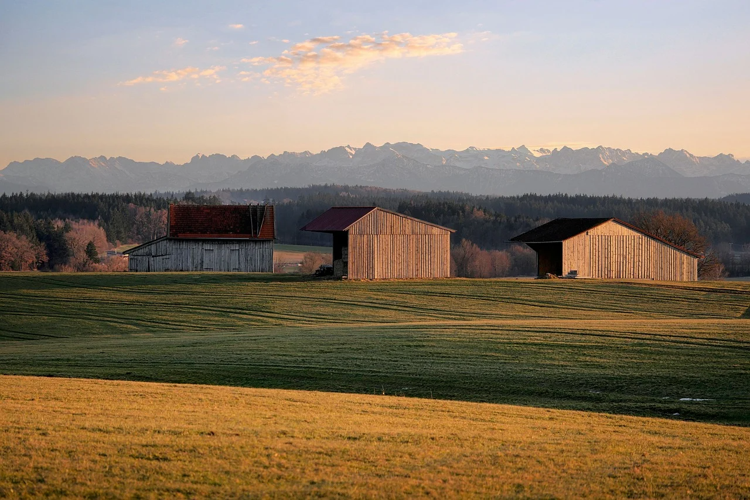 Barn Architecture That Enhances Both Beauty And Usability