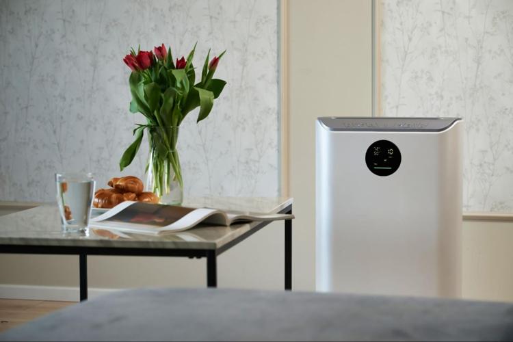 Luxury Wellness for Modern Homes: The Design-Driven Purifiers Elevating Everyday Living