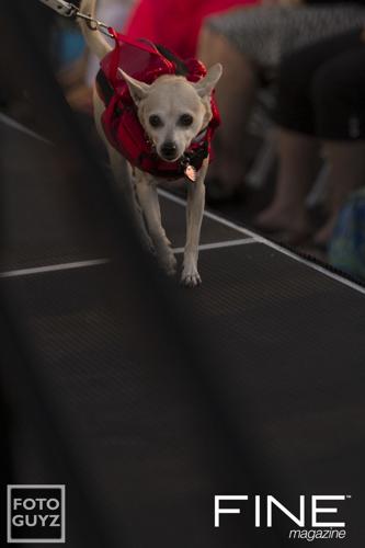 Photos by Will Grayson of Foto Guyz