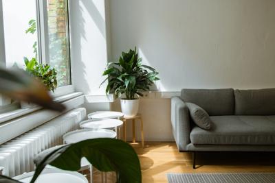 How To Transform Your Home Into A Sought-After Holiday Rental