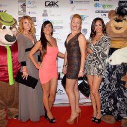 2015 Teddy Bear Ball