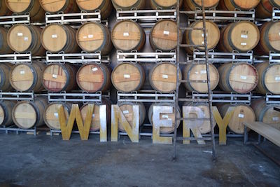 Behind the Scenes of Our Winery Photoshoot
