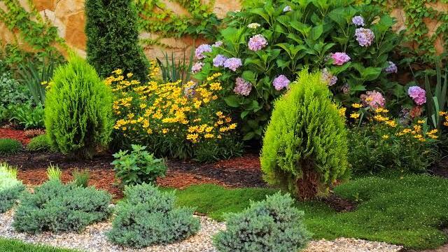 How to Choose the Right Mulch for Different Areas of Your Landscape