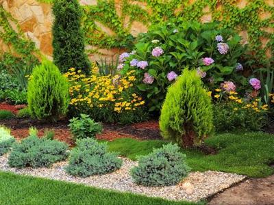 How to Choose the Right Mulch for Different Areas of Your Landscape