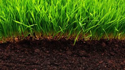 Why a Healthy Lawn Starts With What Happens Beneath the Surface