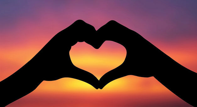 The Art of Falling in Love