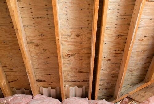 The Importance of Professional Attic Mold Treatment