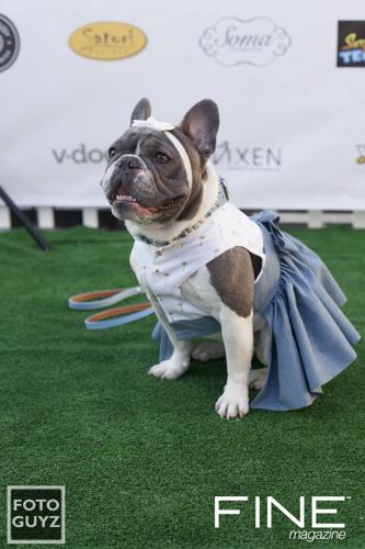 Photos by Will Grayson of Foto Guyz