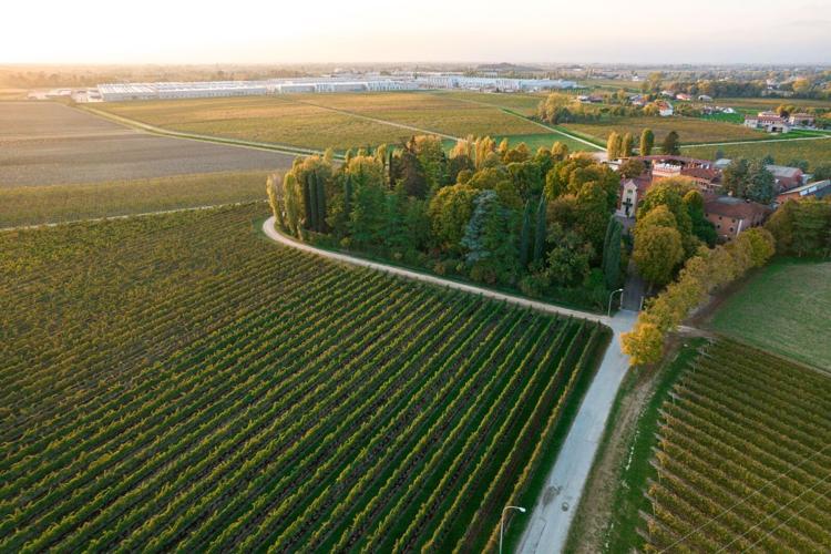 Living the Sophistication of the Bastìe Collection of Tenute Tomasella