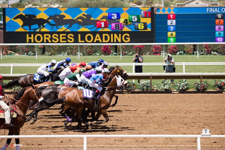 Del Mar Racetrack Photos