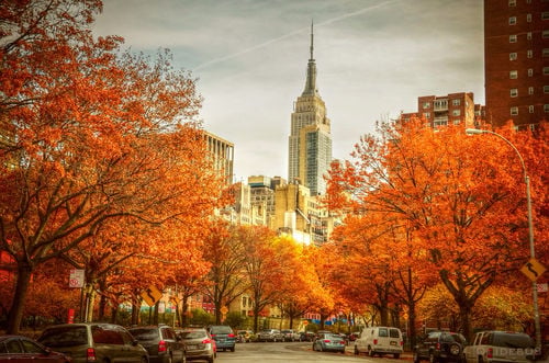 Unique Sites for Millennials to Scope Out in New York City