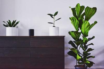 Home Upgrades that also Provide Functional Benefits to Your Home