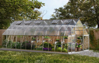 Ever wondered what magic unfolds with the right greenhouse kit?