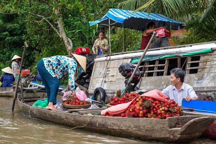 Things to do in Vietnam