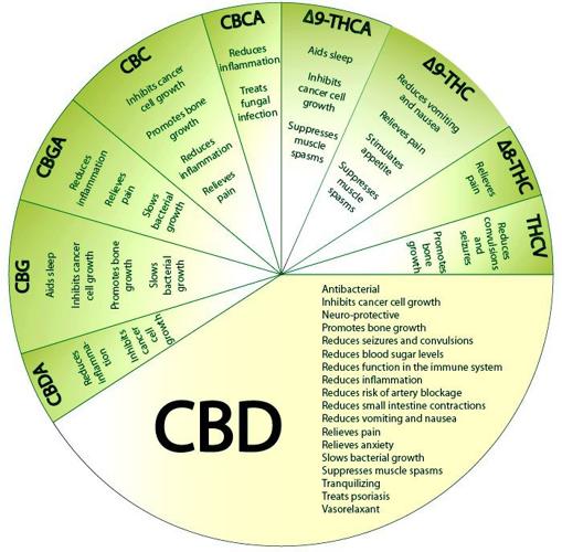 Benefits of CBD Oil