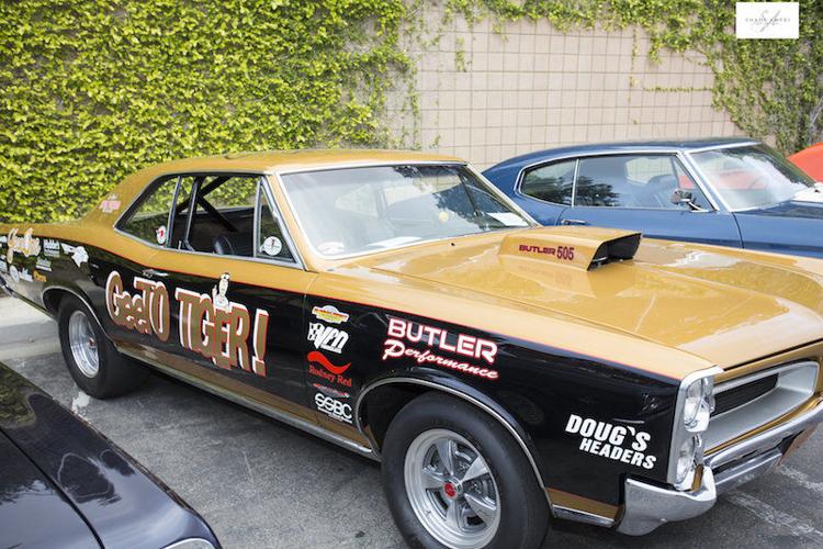 Photos by Shadi Ameri