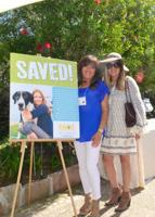 June 2016 Social Scene