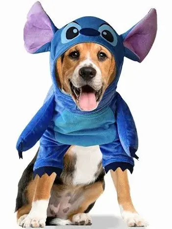 Top Pet Costumes