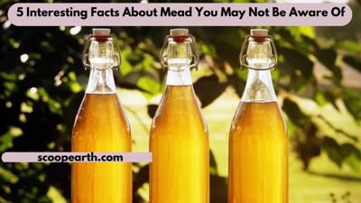 Your Guide To Mead, aka ‘Honey Wine