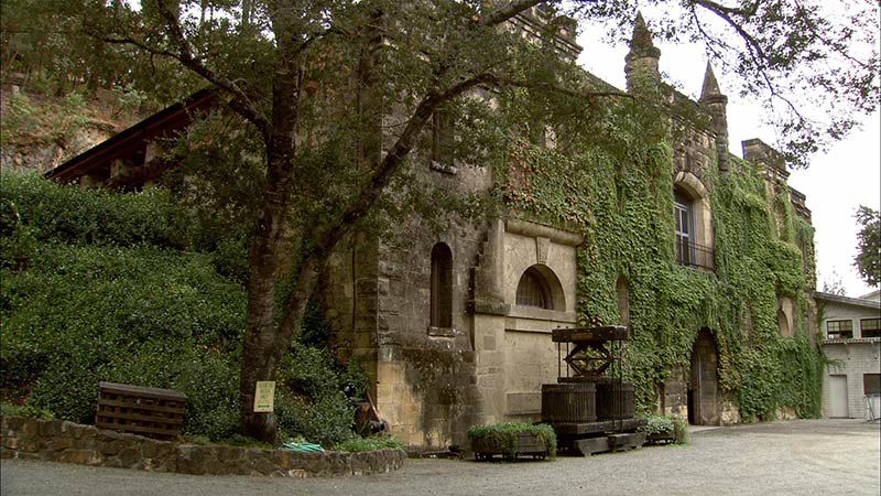 Best Time to Visit Napa Valley