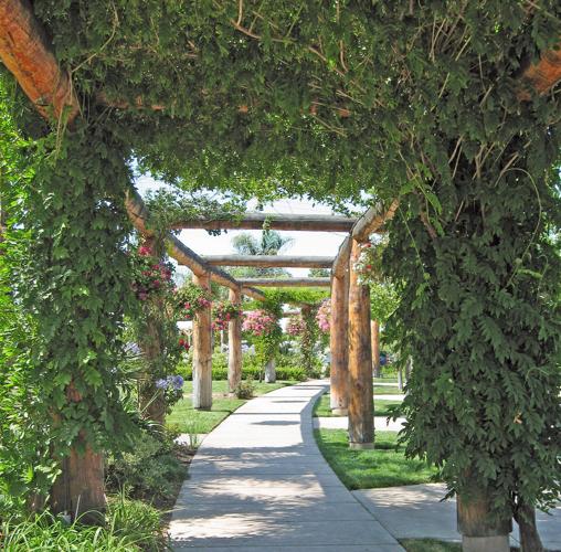 Place to Visit in Temecula’s Wine Country