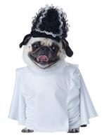 Top Pet Costumes